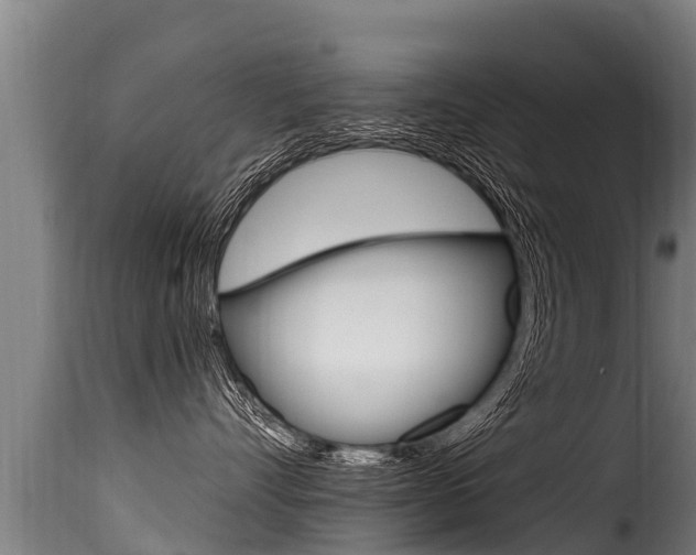 X0000116110528200911230958