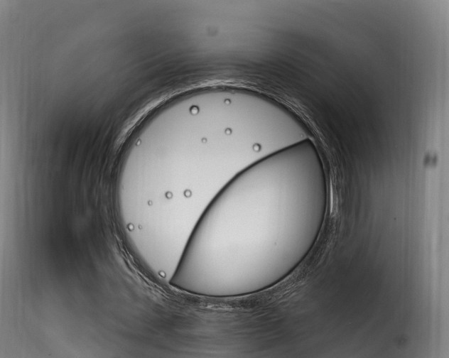 X0000116110531200911230957