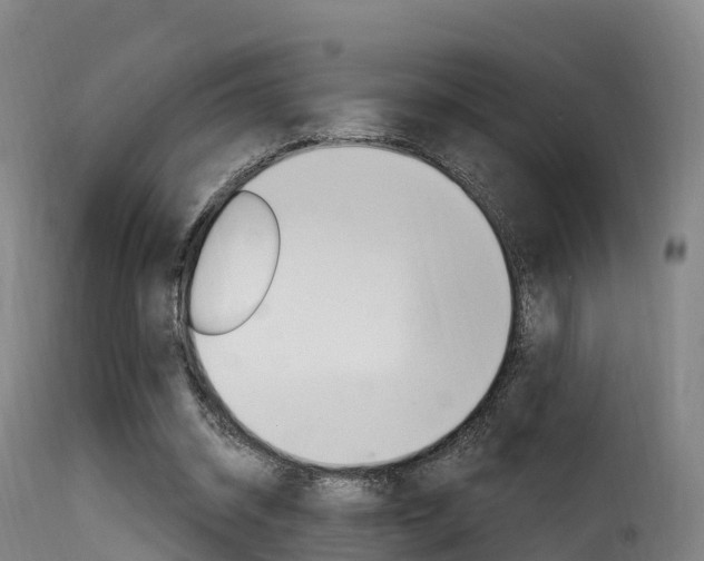 X0000116110534200911230957