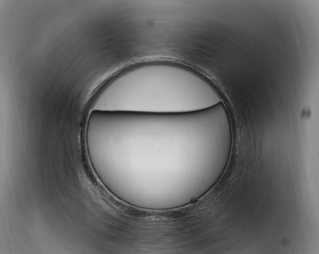 X0000116110535200911230957