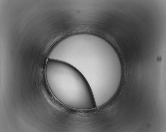 X0000116110538200911230957