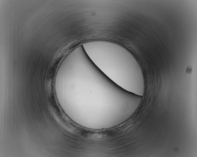 X0000116110542200911230957
