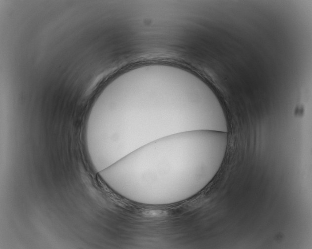 X0000116110543200911230957