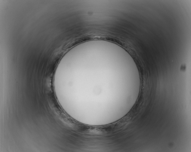 X0000116110545200911230957