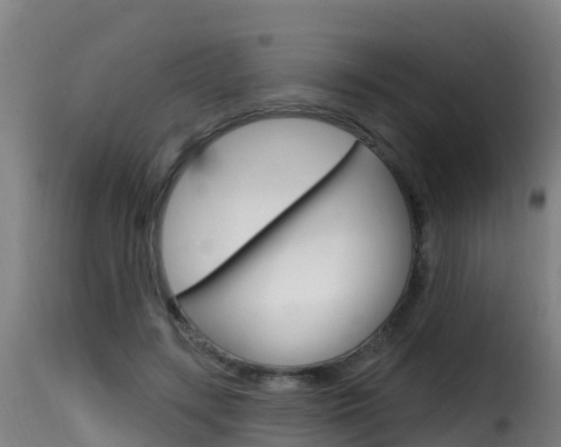 X0000116110547200911230957