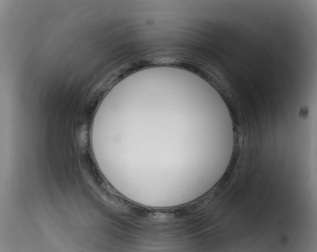 X0000116110549200911230957
