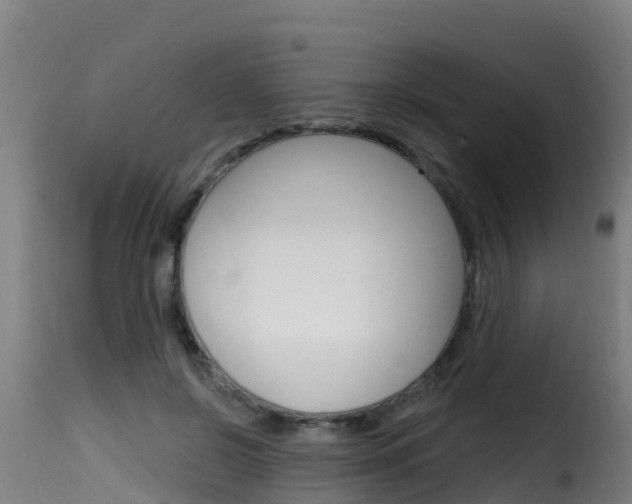 X0000116110550200911230957