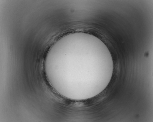 X0000116110554200911230957