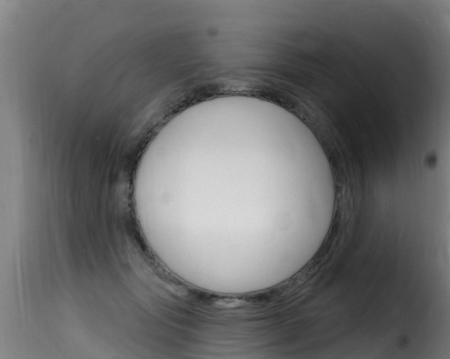 X0000116110557200911230957