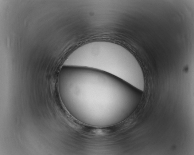 X0000116110558200911230957
