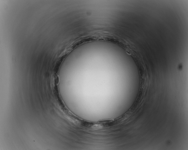 X0000116110562200911230957