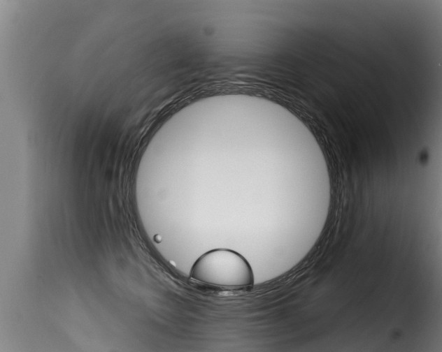 X0000116110566200911230958