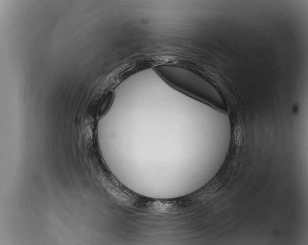 X0000116110570200911230958