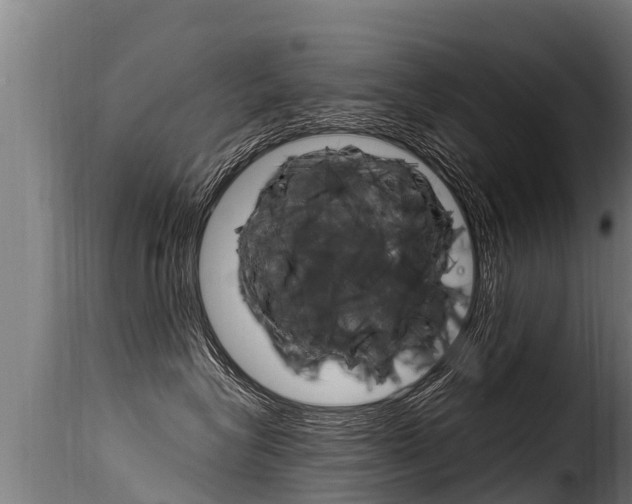 X0000116110575200911230958