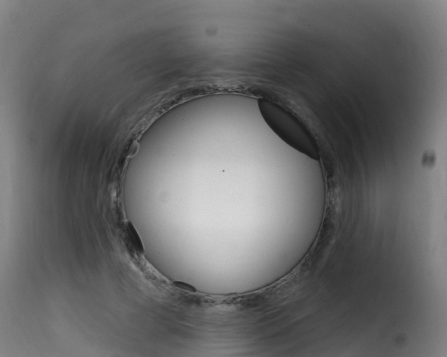 X0000116110593200911230957