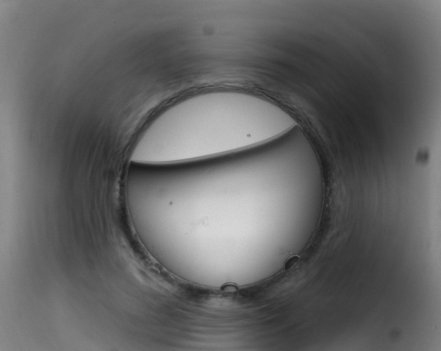 X0000116110596200911230957