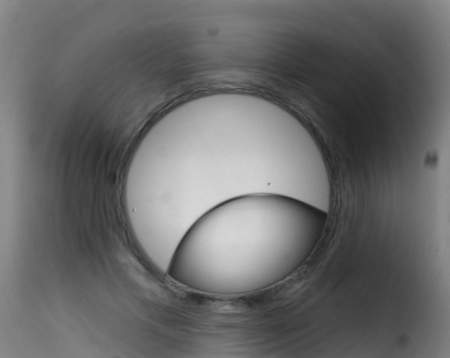 X0000116110597200911230957