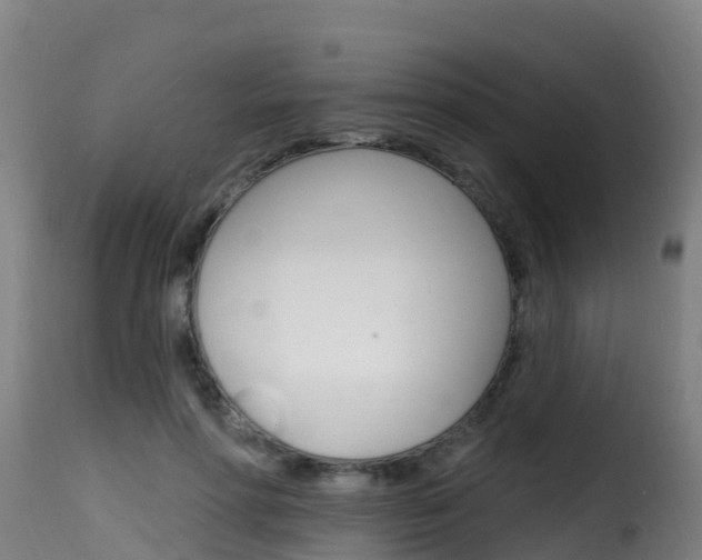X0000116110598200911230957