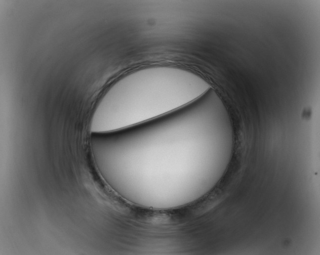 X0000116110600200911230957