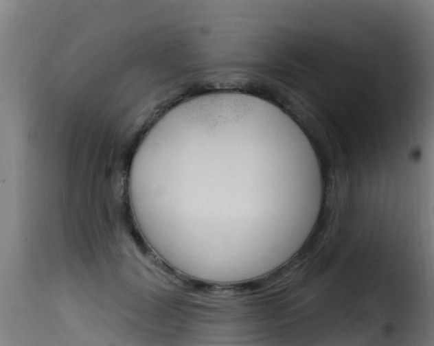 X0000116110604200911230957