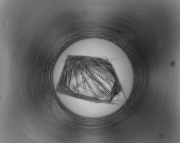 X0000116110605200911230957