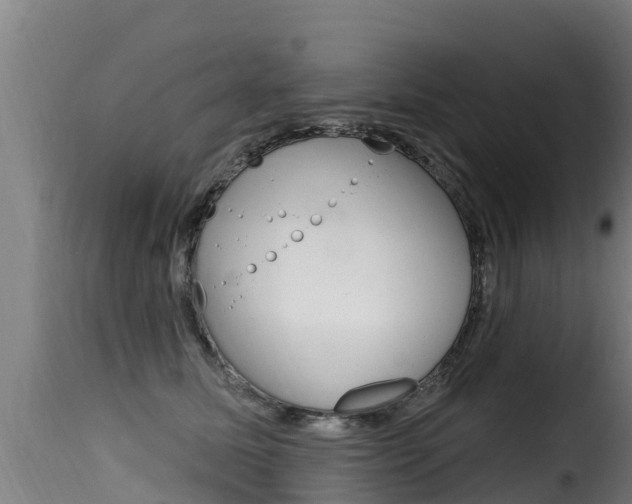 X0000116110611200911230957