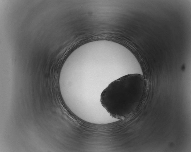 X0000116110617200911230956
