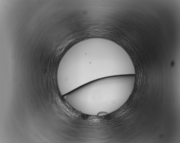 X0000116110620200911230956