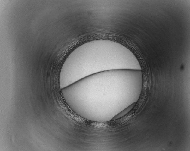 X0000116110621200911230956