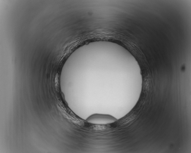 X0000116110623200911230956