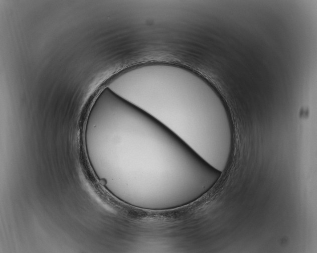 X0000116110630200911230956