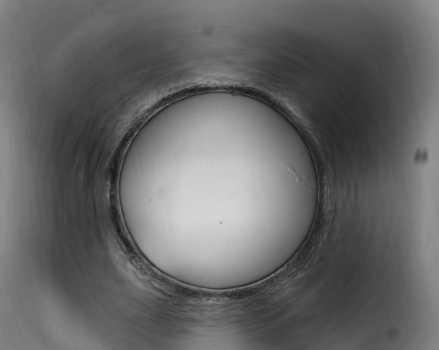 X0000116110631200911230956