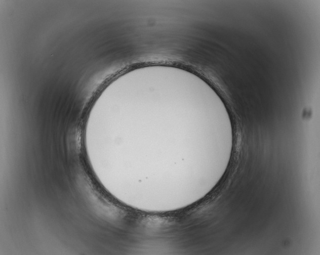 X0000116110632200911230956