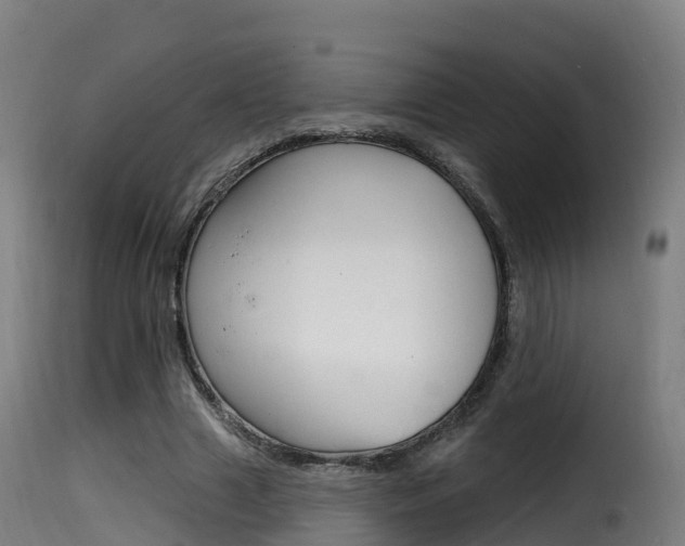 X0000116110633200911230956