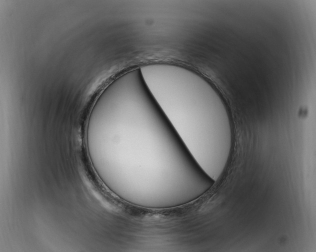 X0000116110634200911230956