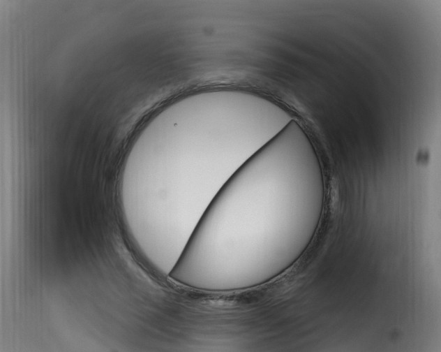 X0000116110637200911230956