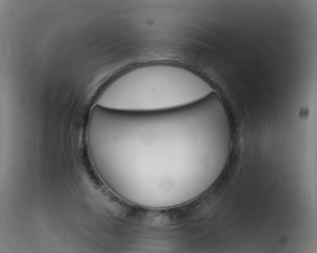 X0000116110640200911230956