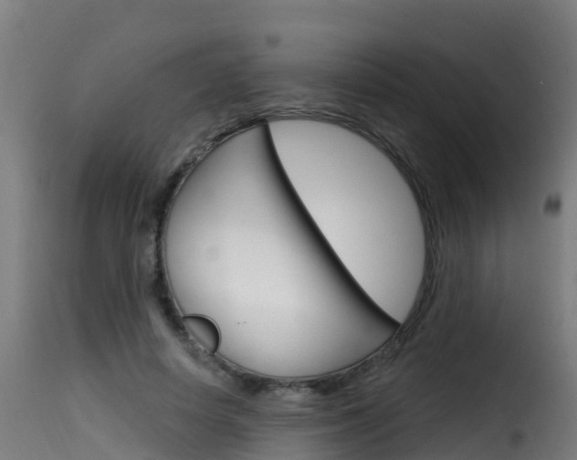 X0000116110642200911230956