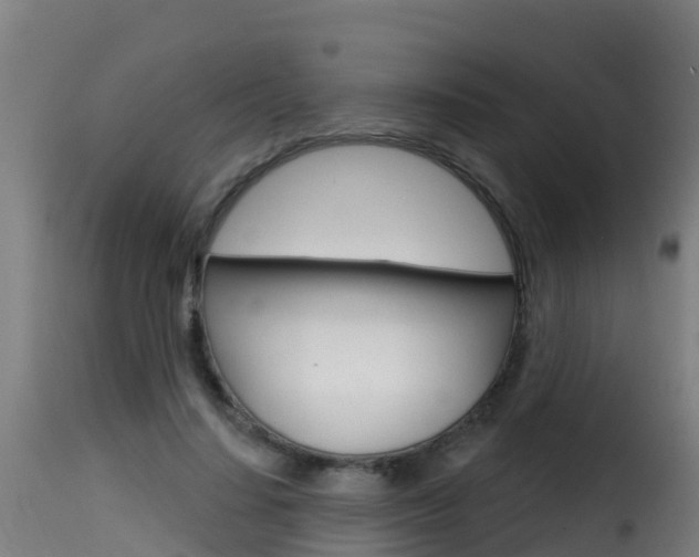 X0000116110644200911230956