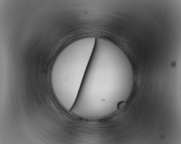X0000116110645200911230956