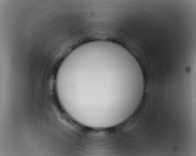 X0000116110646200911230956