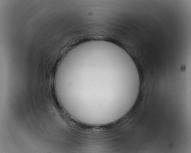 X0000116110647200911230956
