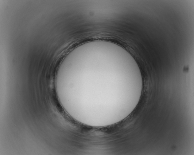 X0000116110648200911230956