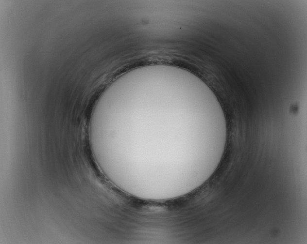 X0000116110649200911230956