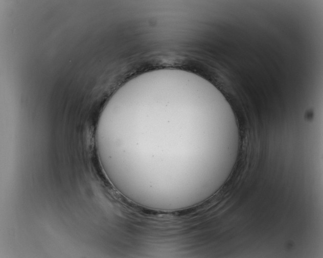 X0000116110651200911230956