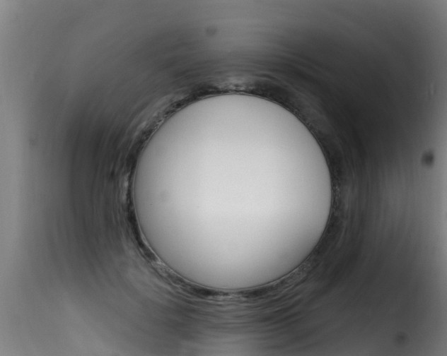 X0000116110652200911230956