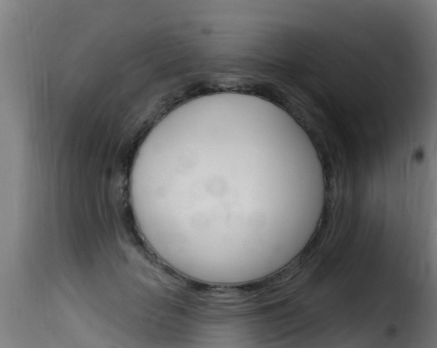 X0000116110653200911230956