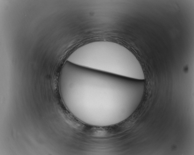 X0000116110658200911230956
