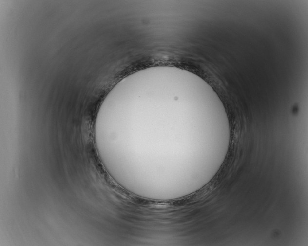 X0000116110659200911230956