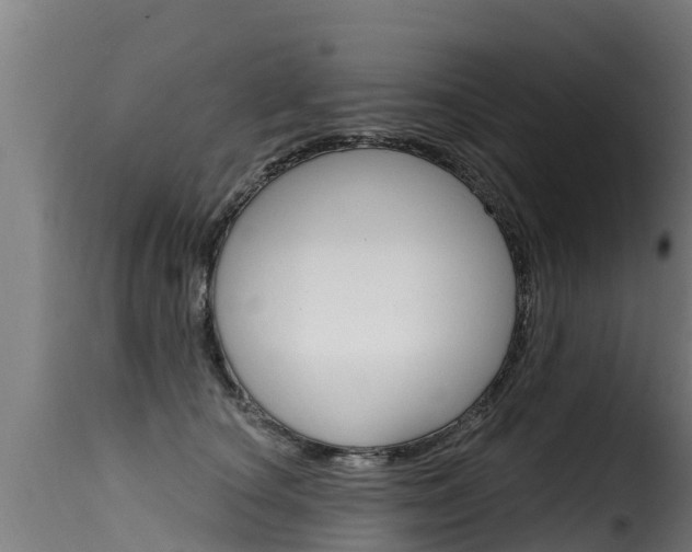 X0000116110660200911230956